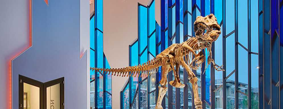 Take-a-Vacation-to-See-the-T-Rex-at-The-Museum-at-Prairiefire-in-Overland-Park Take-a-Vacation-to-See-the-T-Rex-at-The-Museum-at-Prairiefire-in-Overland-Park