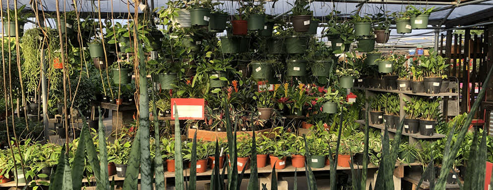 The Family Tree Nursery Overland Park The Family Tree Nursery Overland Park