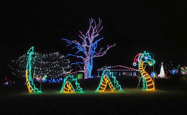 Wonderland of Lights Racine Zoo