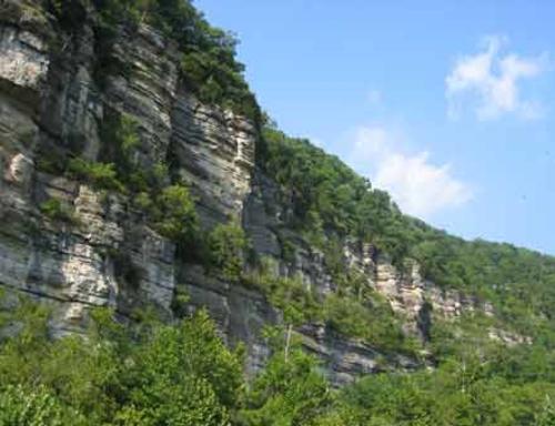 Limestone