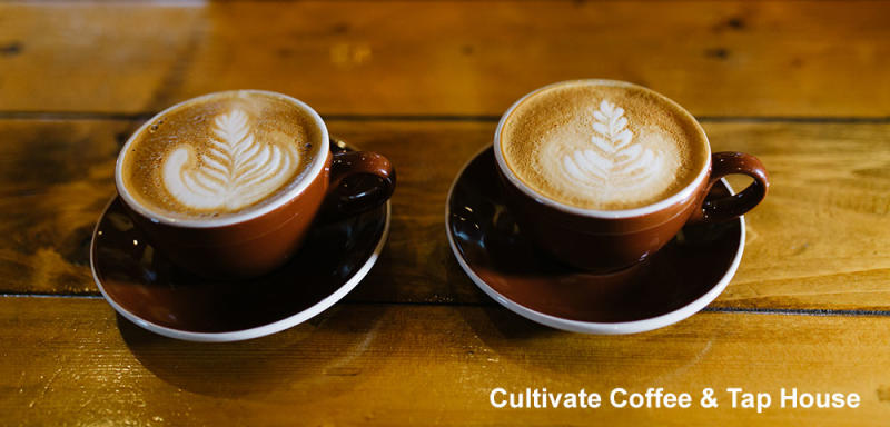 Two cappuccinos from Cultivate Coffee House