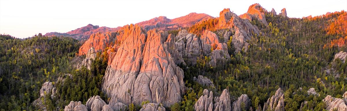 Black Hills National Forest