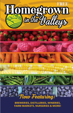 Homegrown in the Valleys