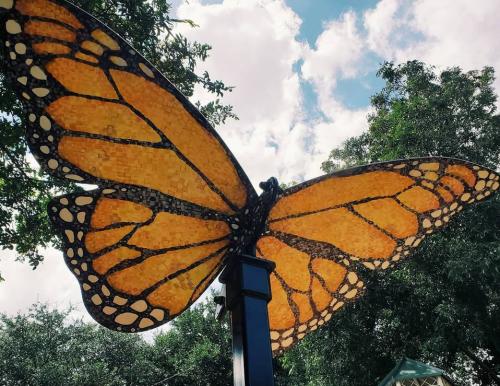 Monarch of McKinney