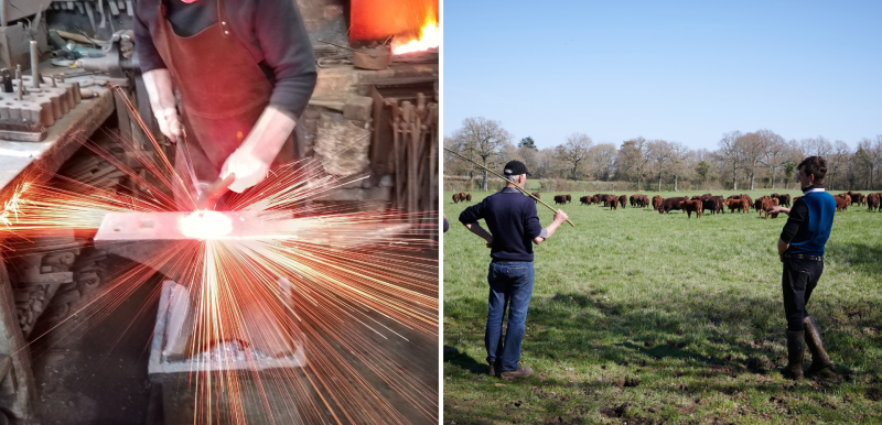 Slow Horsham: Unique experiences at Amberley and Trenchmore