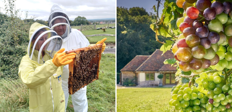 Bee Keeping Honey experiences & wine at Wiston