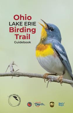 ODNR Birding Trail Cover