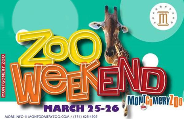 Zoo weekend flyer