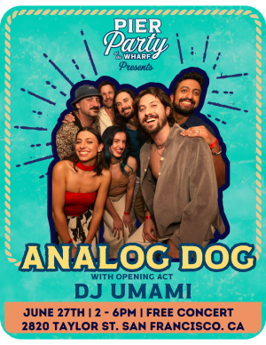 analog dog