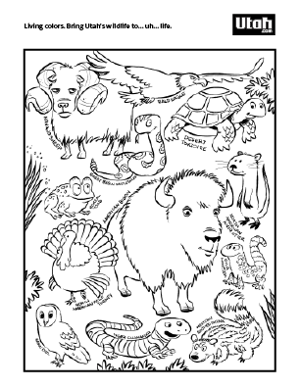 Utah Animals Coloring Book
