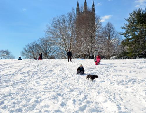 kids sledding down a hill in the snow with princeton university in the background