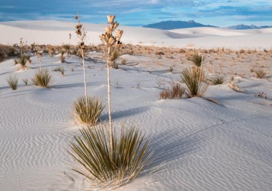 White Sands