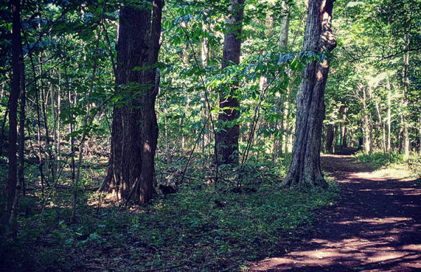 Ox Bow County Park