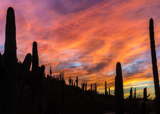 Unique Spots For Date Night In Phoenix Century Grand Art Walk