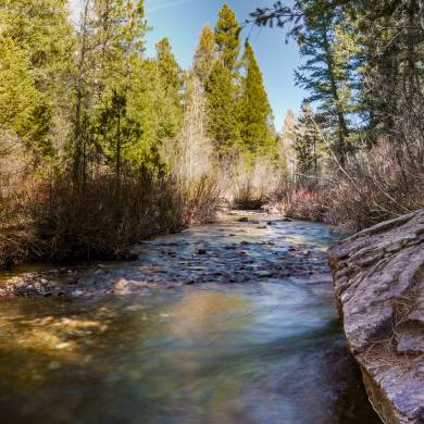 Colorado Trail During Spring