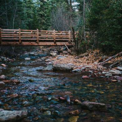 Bridge Over Junction Creek on the Colorado Trail During Fall