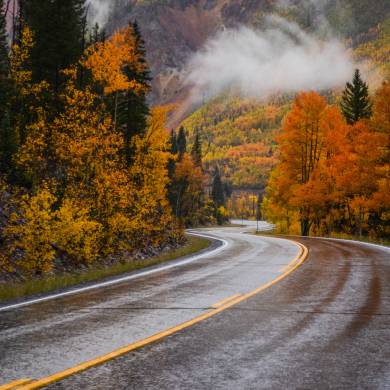 Fall Colors on Highway 550