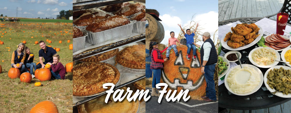 School's Out Farm Fun