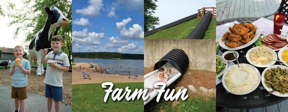 Schools Out Page Header - Farm Fun