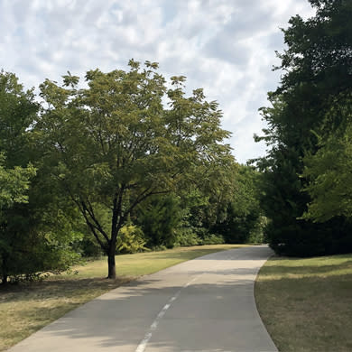 View of Caddo Trail