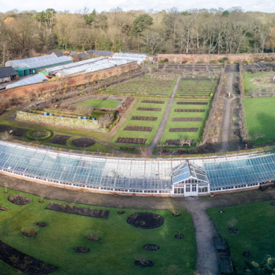 Croxteth Hall's Walled Garden
