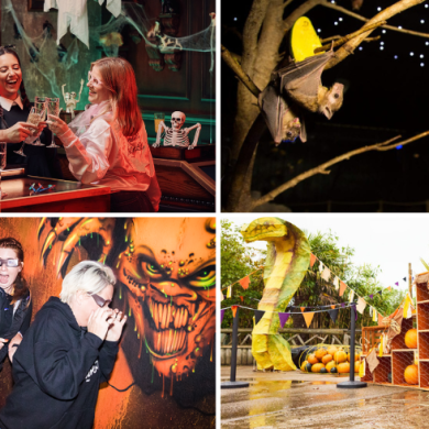 Four halloween themed images (people in costume drinking at Flight Club, a bat in the bat cave at Knowsley Safari, people scared at Farmaggedon, two children sat on a hay bale at Knowsley Safari)