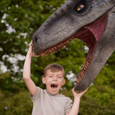 A small child pretending to be eaten by a fake dinosaur