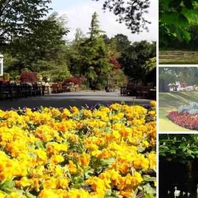Collage of Southport gardens showing colourful flower beds in the foreground, tree‑lined park paths with benches, a fountain rising from a pond, manicured lawns with formal planting, and a small footbridge over water with swans beneath leafy trees.
