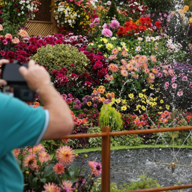 Person with a backpack takes a photograph of a colourful floral display featuring a wide variety of blooming flowers surrounding a small fountain. The vibrant garden is filled with pink, red, yellow and purple flowers, with water spraying from the fountain in the foreground.