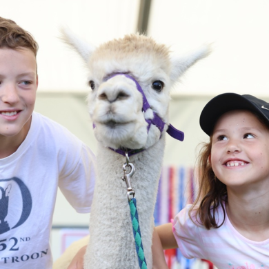 Two children stand beside a white alpaca wearing a purple halter at an indoor event. One child wears a white T-shirt and the other a black cap and pale pink top. The alpaca is positioned in the centre of the image, with the children on either side looking towards it. The background is softly blurred, focusing attention on the animal and the children.