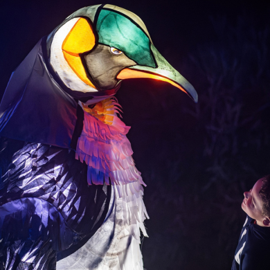 A large illuminated bird lantern with a long curved beak and colourful green, white and yellow markings towers over a child looking up at it. The scene is lit with vibrant purple, blue and orange lights against a dark background, creating a magical nighttime atmosphere.