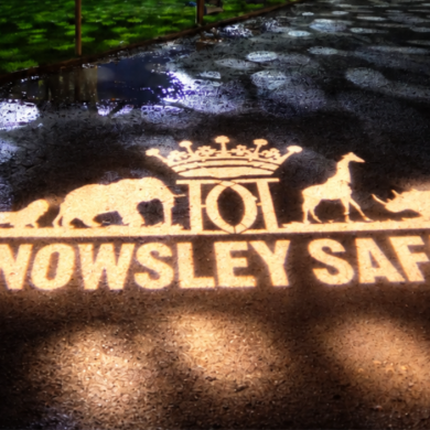 A light projection of Knowsley Safari logo on the floor.