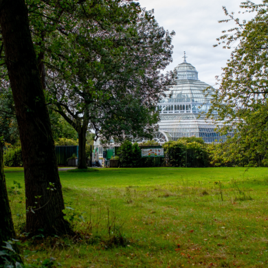 Sefton Park and the Palm House