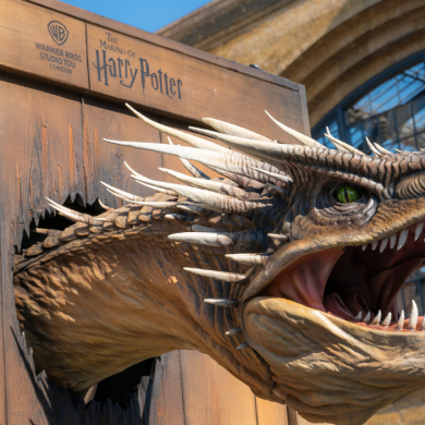 A model of a dragon head sticking out of a wooden box from the Harry Potter films.