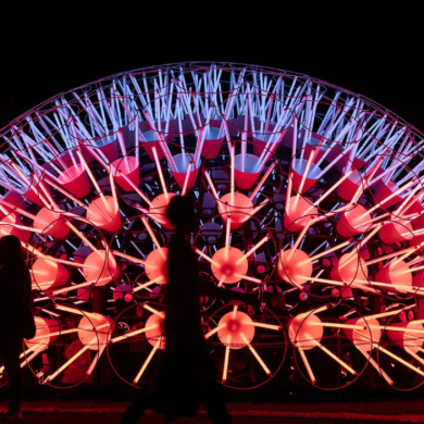 An artwork of a light up dandelion in orange and purple.