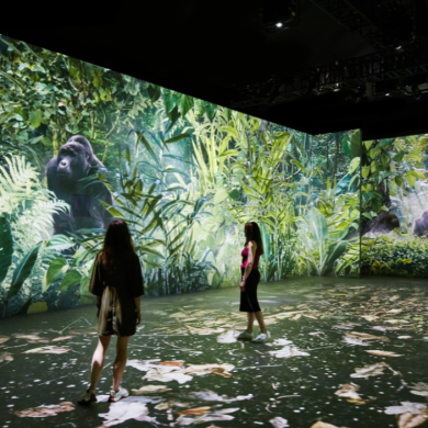Inside a large box like room with projections of plants and trees on the wall. There are two people looking at the wall.