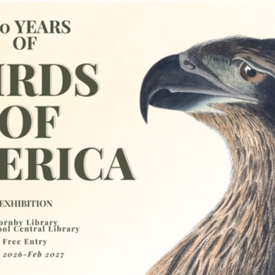 Promotional poster for the exhibition 200 Years of Birds of America. A detailed illustration of a bird of prey’s head dominates the right side of the image, showing a curved dark beak and sharp eye. Large text on the left reads “200 Years of Birds of America,” with additional details below: “Exhibition, Hornby Library, Liverpool Central Library, Free Entry, Oct 2026–Feb 2027.” The Liverpool City Council logo appears in the top-right corner.