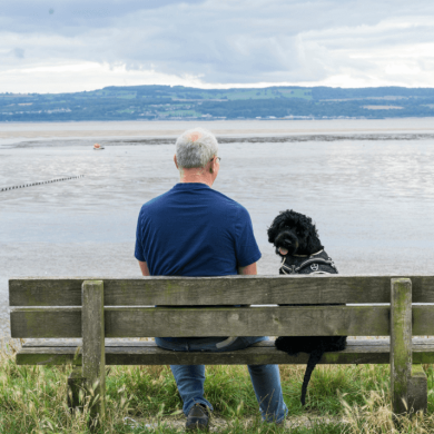 A man and dog sit on a bench looking out to sea