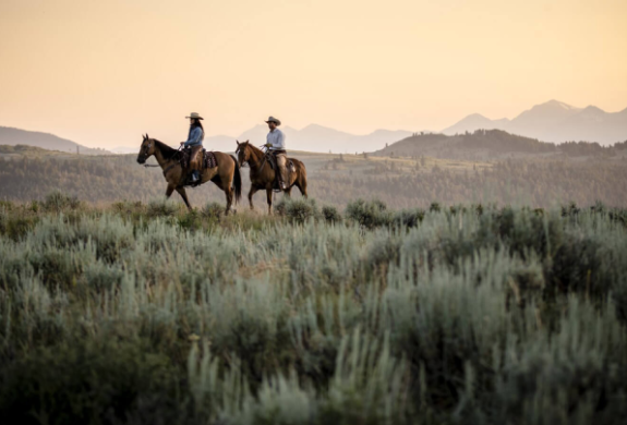 Cowboys