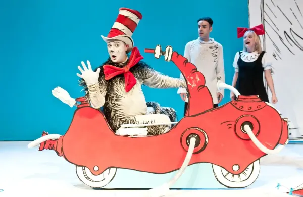 cat in the hat Albany