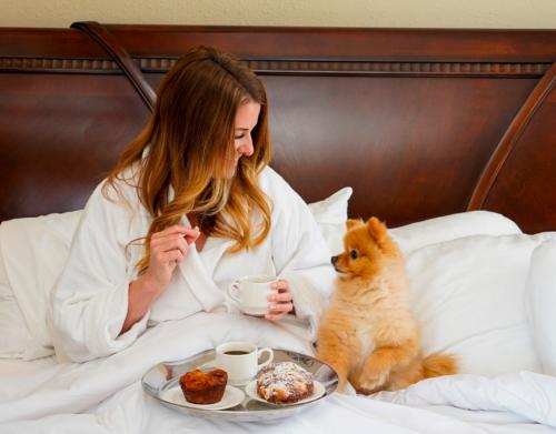 photo of a woman in a robe in bed with breakfast and her little brown dog next to her at The Grand