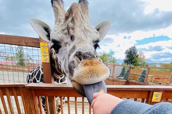New York State Animal Encounters | Zoos, Farms & Aquariums