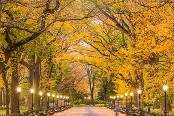 NYC is about to lose its iconic orange glow