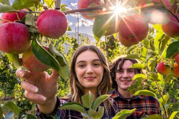 Indian Ladder Farms Indian Ladder Farms