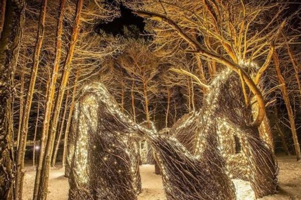 Wild Center Wild Lights Glowing yellow lights decorate trees