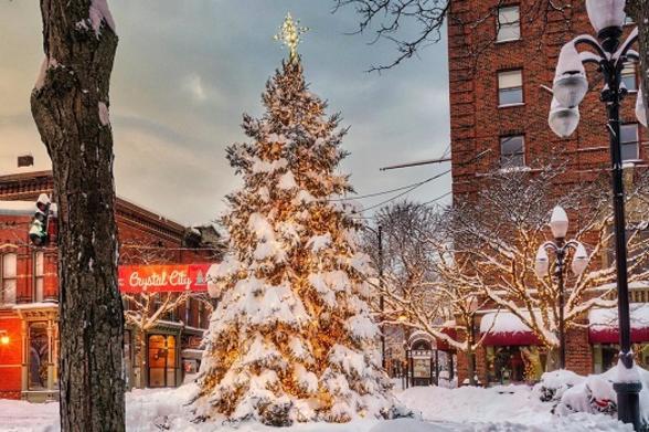 Lone Tree In The Snow In Upstate New York Background, Winter