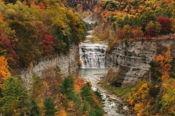 New York State Fall Guide