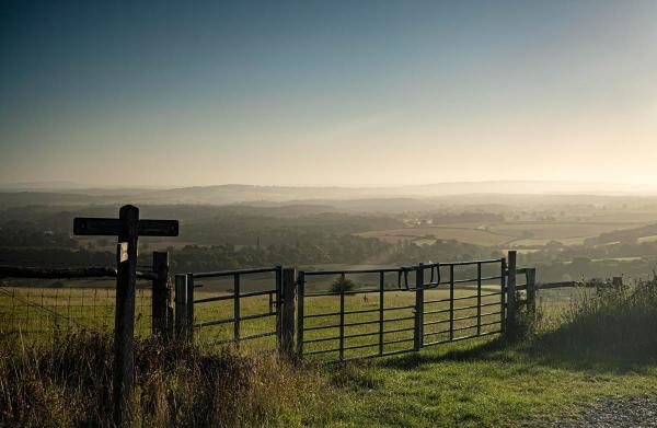 South Downs Views