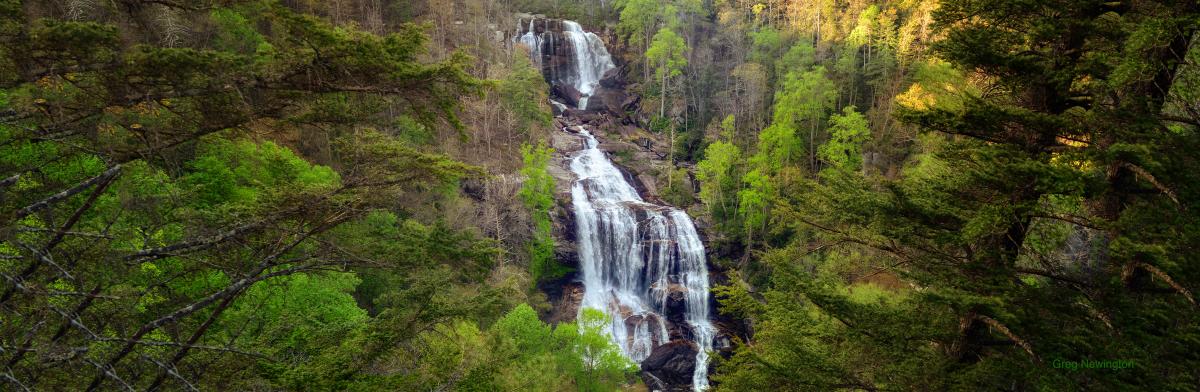 Whitewater Falls