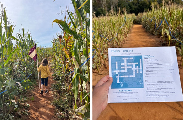 Amazing Maize Maze